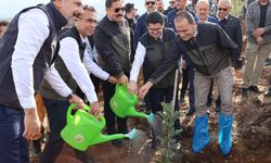 Deprem Şehitlerine 5 bin fidan