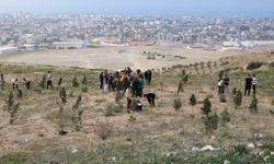 İSTE'li Yüksekokulu Yerleşkesinde fidan dikti…