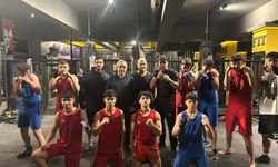 İskenderun Boksu Küllerinden Yeniden Doğuyor