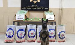 Hatay’da Yasaklı madde Operasyonu…
