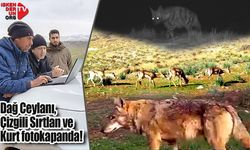 Hatay’da İlk Kez Bu Netlikte Görüntülendi