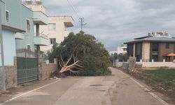 İskenderun ve Arsuz’da Kuvvetli Rüzgâr