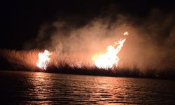 Kuş Cennetinde Yangın