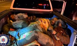 İki organizatör Tutuklandı