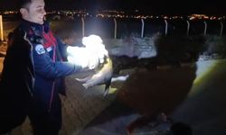 Yavru Köpek Kurtarıldı