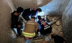 Asansör Boşluğun da Kurtarma