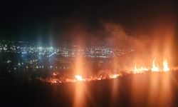 İskenderun’da Orman Örtüsü Yangını Korkuttu