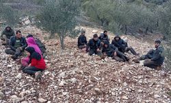 Sınırda Yakalandılar