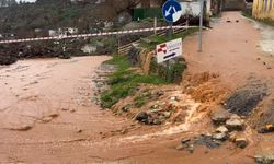 Hassa’da Yağmur Etkisini Göstermeye Başladı