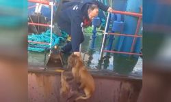 Dörtyol Balıkçı Barınağı’nda Örnek Kurtarma