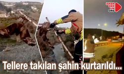 Özgürlüğe Kanat Çırptı