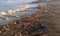 Arsuz Karaağaç Sahilini Yağış Sonrası atık vurdu!