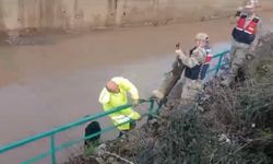 Su Kanalına Düşen Ceylan Kurtarıldı