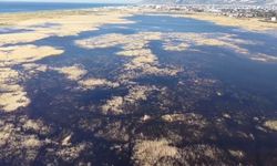 Samandağ Milleyha Sulak Alanı tescillendi…