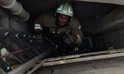 Havalandırma boşluğuna düşen kediler için seferberlik…