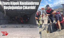 Havalandırma Boşluğuna Düşen Yavru Köpekler Kurtarıldı