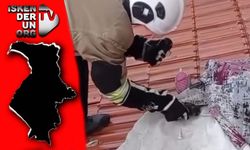 Çatıda mahsur kalan yavru kediler kurtarıldı