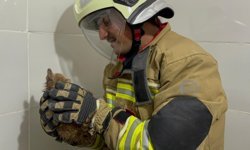 Sıkışan Yavru Kediyi İtfaiye Kurtardı