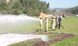 Ormancılık Yarışmaları heyecanı sürüyor…