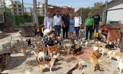 Muhtarlar, Kedi Bakım ve Rehabilitasyon Merkezi’nde…