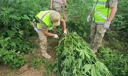 Jandarma’dan Zehir Tacirlerine Geçit Yok!