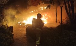 Boyacılar Parkında Yangın