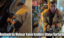 Reyhanlı’da Mahsur Kalan Kedileri İtfaiye Kurtardı