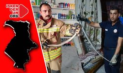 Yılanlar Evlerden Alındı Doğal Ortamına Bırakıldı