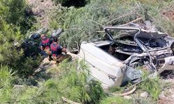 Antakya-Altınözü Yolunda Kamyon Ormanlık Alana Devrildi…