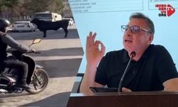 Başkan Dönmez Agus meselesine el attı…
