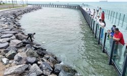 Ağlarla Yakalanan Balıklar Deniz Akvaryumuna Bırakıldı!