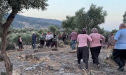 Kayıp Çoban Lav Tüpü Mağarasında Bulundu