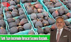 Türk Taze İncirinde İhracat Sezonu Başladı…