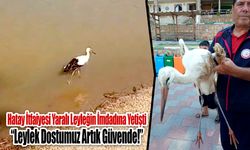 Hatay İtfaiyesi Yaralı Leyleğin İmdadına Yetişti