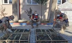 Traktör ve Römorkta 2 Bin 114 Saka Kuşu yakalandı…