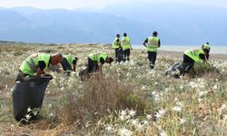 HBB’den 158 Km’lik Sahilde Nadir Türlere Özel İlgi…