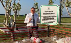 İskenderun Sahili’nde Sıra Dışı Bir 'Sanat Eseri'