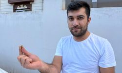 Otomobilini Temizlerken mermi isabet etti