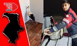 Göç Yolunda Yorgun Düştü