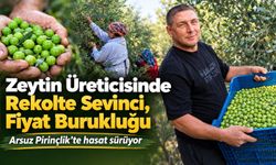 Zeytin Üreticisinde Rekolte Sevinci, Fiyat Burukluğu!