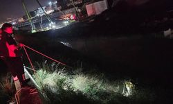 Gece Asi Nehri’ne Düşen Koç Kurtarıldı