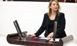 ‘Hatay’da Narenciye ve Zeytin Üreticisi Krizde…’