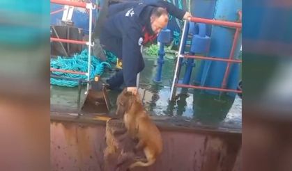 Dörtyol Balıkçı Barınağı’nda Örnek Kurtarma