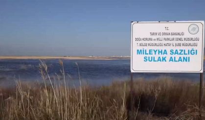 Samandağ Milleyha Sulak Alanı tescillendi…