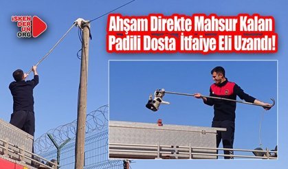 Direkte Mahsur Kalan Kedi İtfaiye Eli Uzandı!