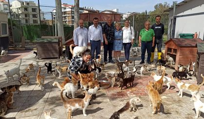 Muhtarlar, Kedi Bakım ve Rehabilitasyon Merkezi’nde…