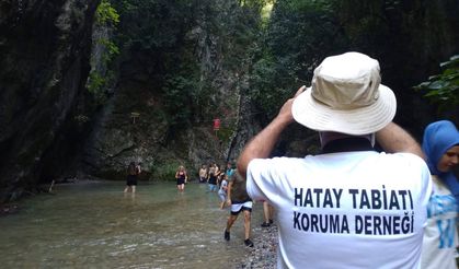Hatay Tabiatı Koruma Derneği Dikkat Çekti!