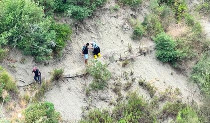 Belen’de Ormanlık Alanda Zor Durumda Bulundu…