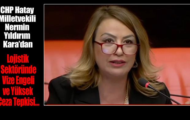 Lojistik Sektöründe Vize Engeli ve Yüksek Ceza Tepkisi…