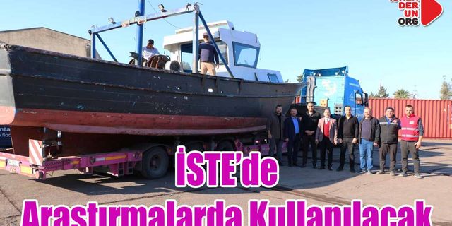 Barınağa İndirildi